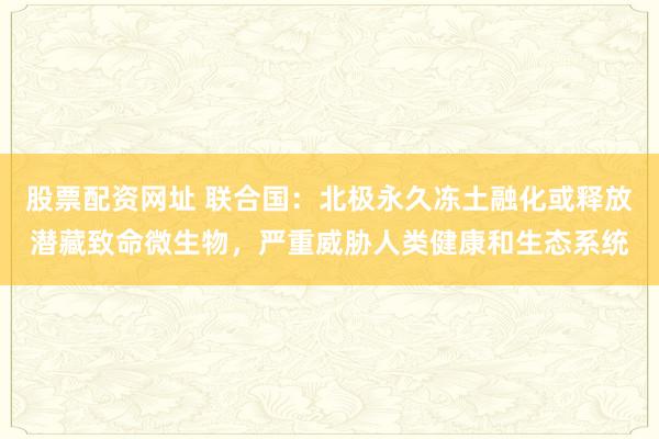 股票配资网址 联合国：北极永久冻土融化或释放潜藏致命微生物，严重威胁人类健康和生态系统