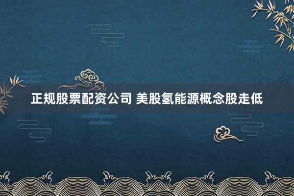 正规股票配资公司 美股氢能源概念股走低