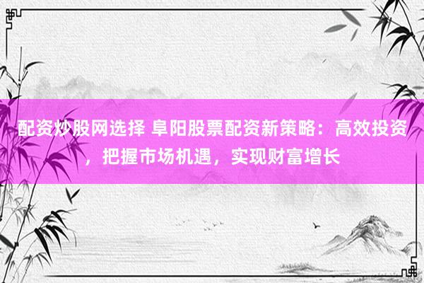 配资炒股网选择 阜阳股票配资新策略：高效投资，把握市场机遇，实现财富增长