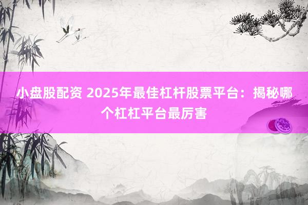小盘股配资 2025年最佳杠杆股票平台：揭秘哪个杠杠平台最厉害