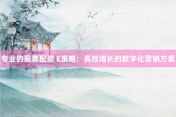 专业的股票配资 E策略：高效增长的数字化营销方案