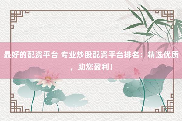 最好的配资平台 专业炒股配资平台排名：精选优质，助您盈利！