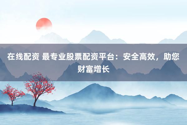 在线配资 最专业股票配资平台：安全高效，助您财富增长