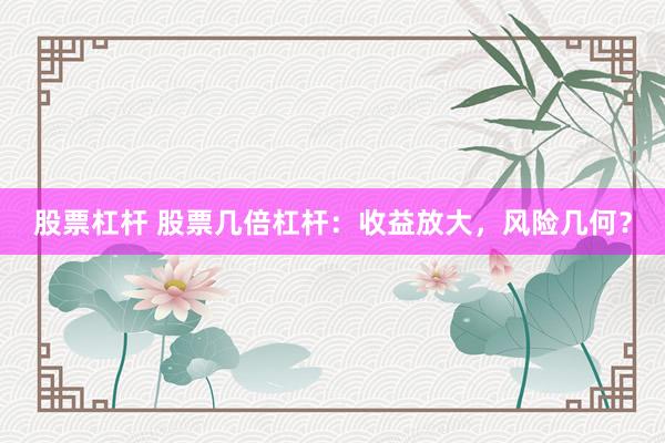 股票杠杆 股票几倍杠杆：收益放大，风险几何？